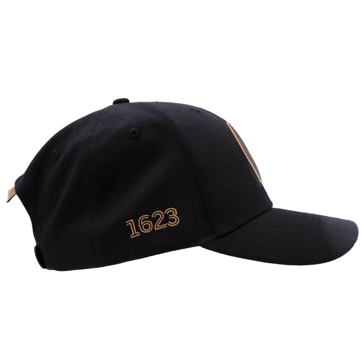 Alchemy Curve Hat side on