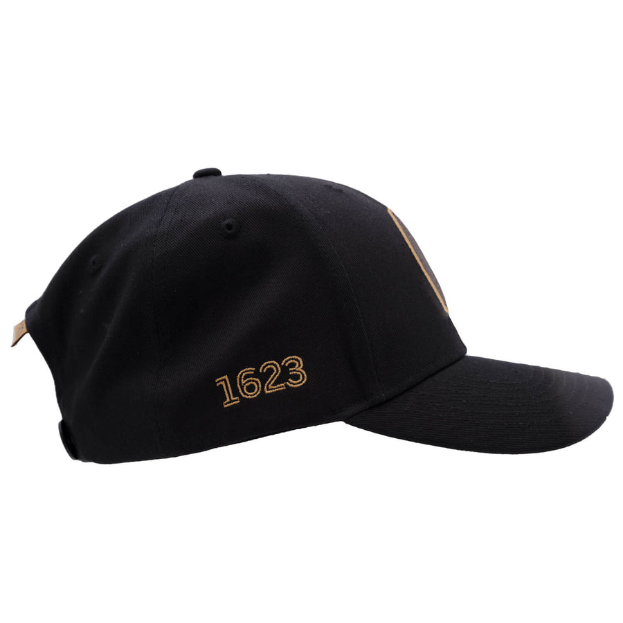 Alchemy Curve Hat side on